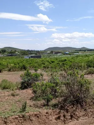 Affordable 50*100 Plots