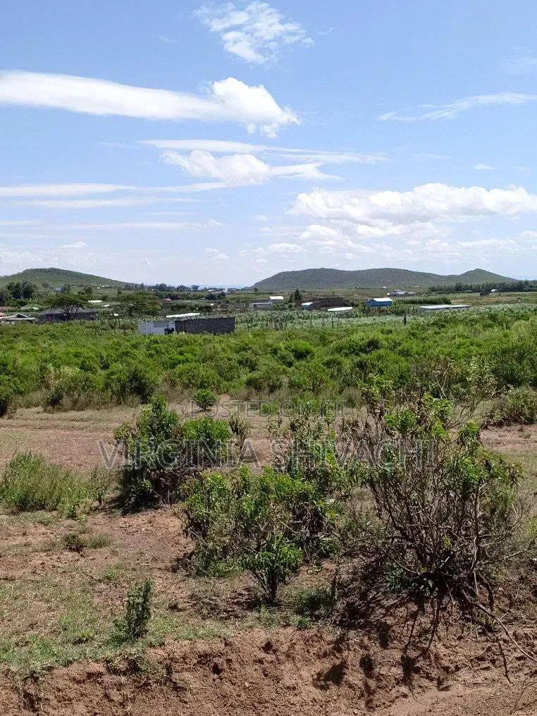 Affordable 50*100 Plots