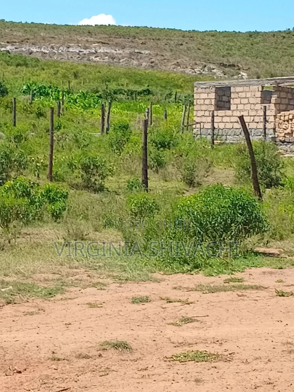 Affordable 50*100 Plots