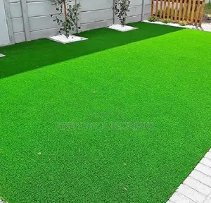 Artificial Grass Carpet for Residential Use