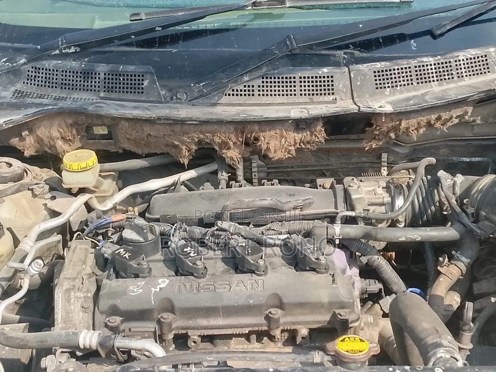 Nissan X-Trail Automatic 2004 Silver