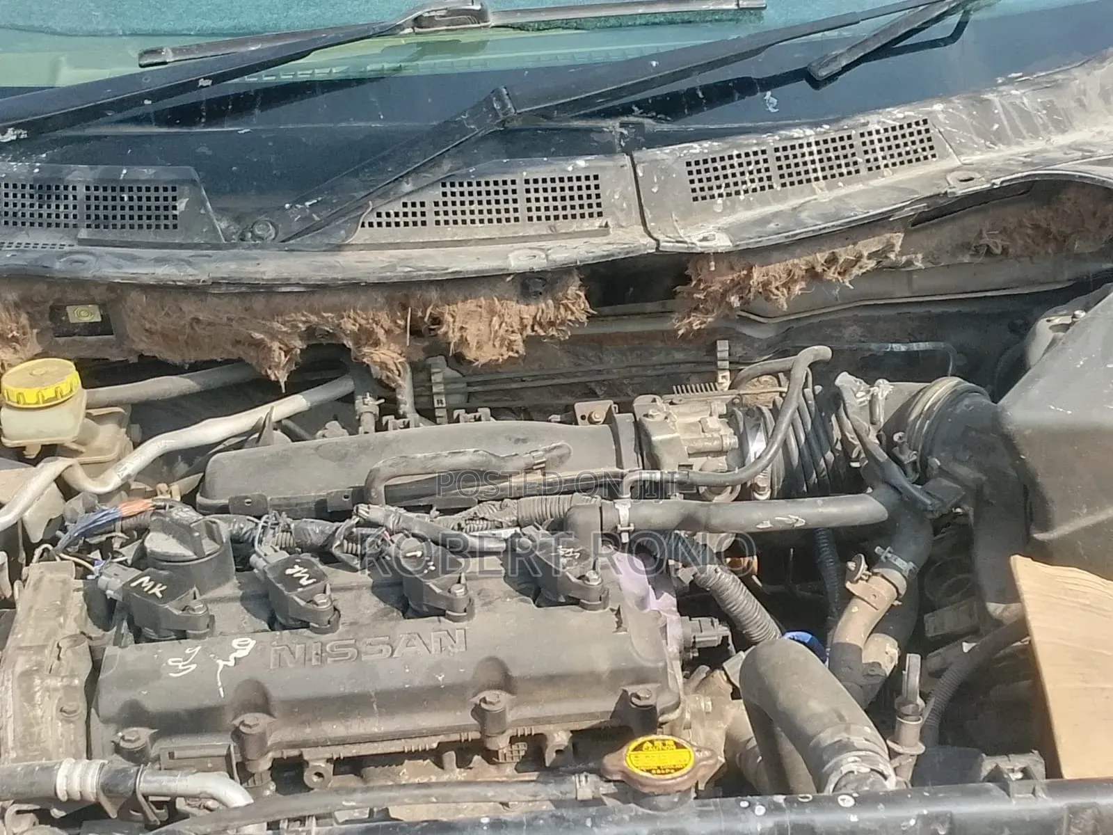 Nissan X-Trail Automatic 2004 Silver