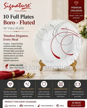 6pcs Signature 10" Plate Set