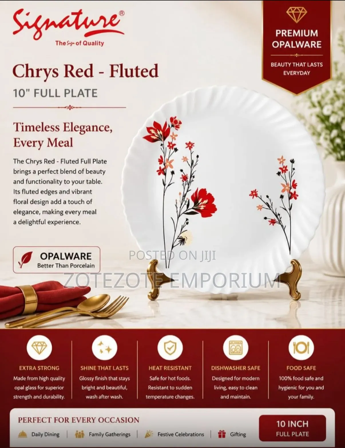 6pcs Signature 10" Plate Set