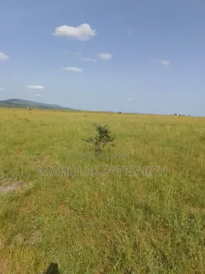 200 Acres Athiriver Near Waridi Farm Selling @ 7m Per Acre
