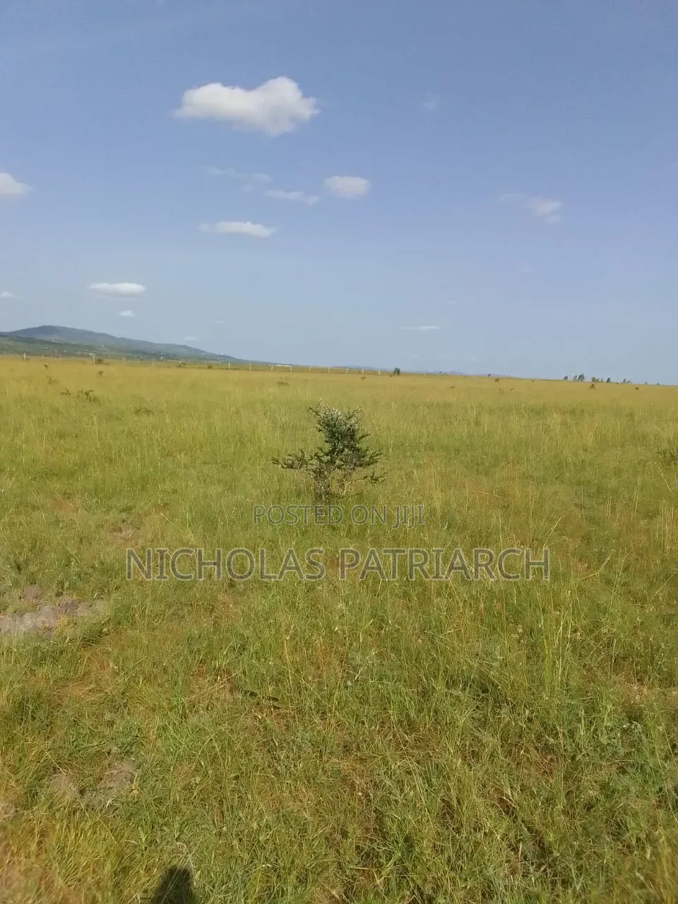 200 Acres Athiriver Near Waridi Farm Selling @ 7m Per Acre