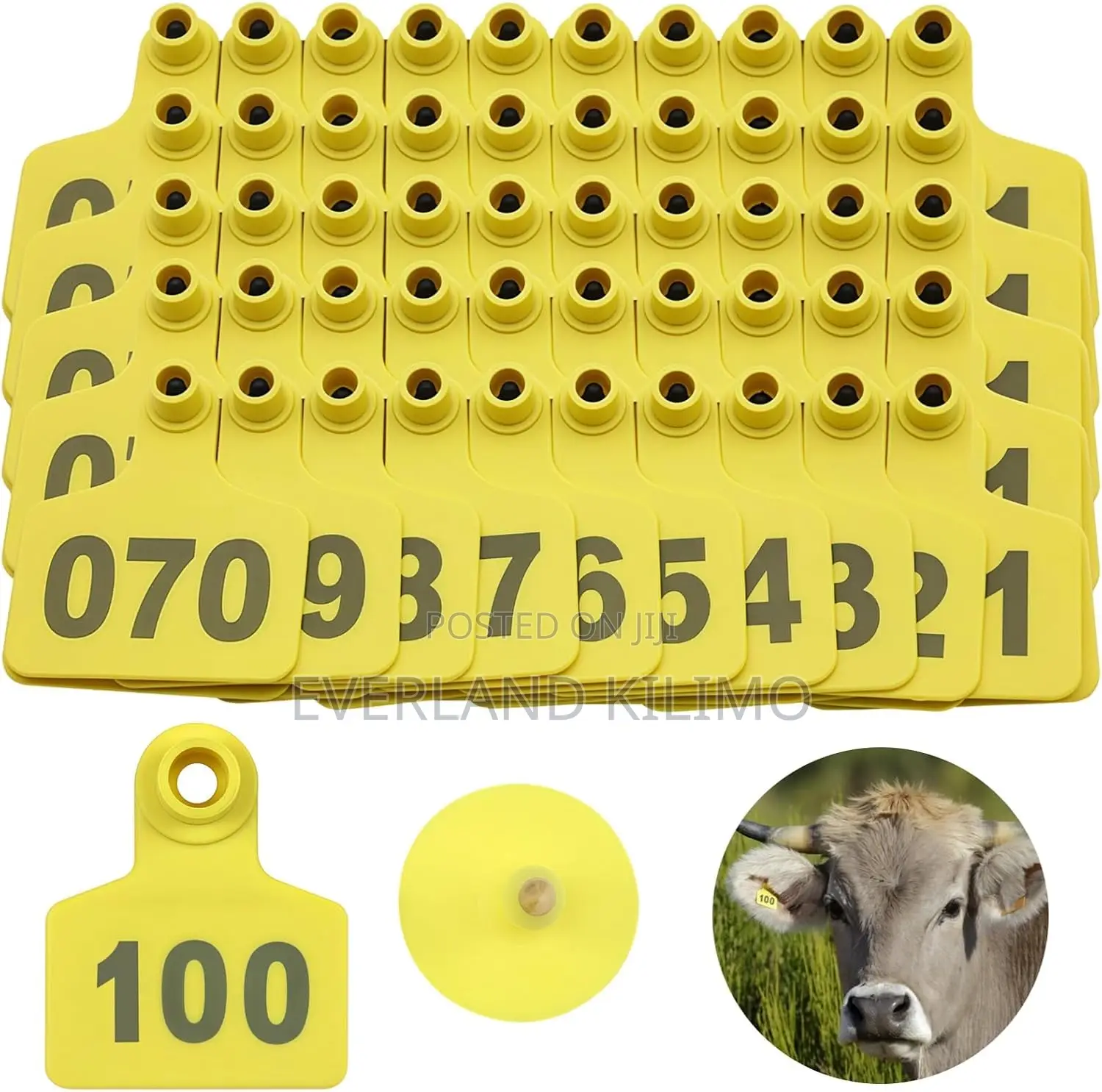 Medium Numbered Farm Survey Ear Tags