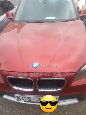 BMW X1 2011 Red