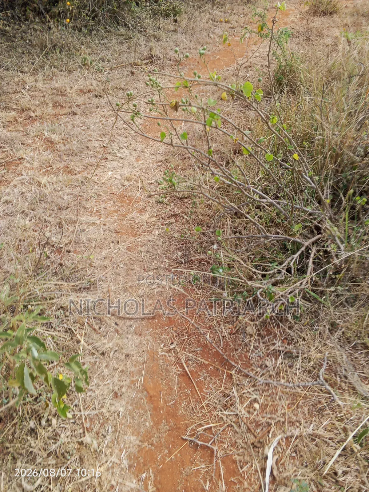 100 Acres  Kitui  Kwa Vonza Selling @ 180k Per Acre