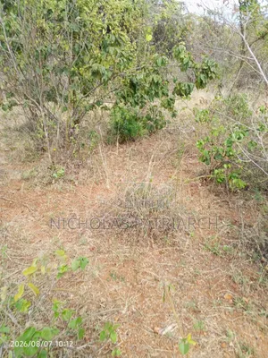 100 Acres  Kitui  Kwa Vonza Selling @ 180k Per Acre