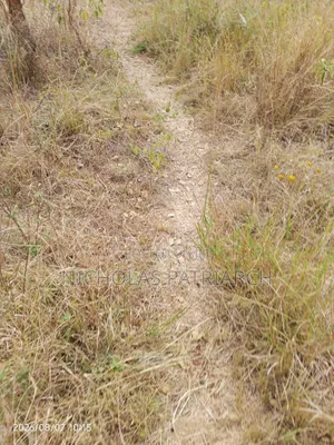 100 Acres  Kitui  Kwa Vonza Selling @ 180k Per Acre