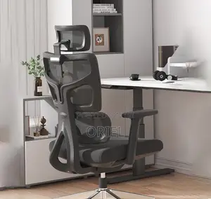 Orthopedic Executive Mesh Chair : Executive High Back Mesh Chair