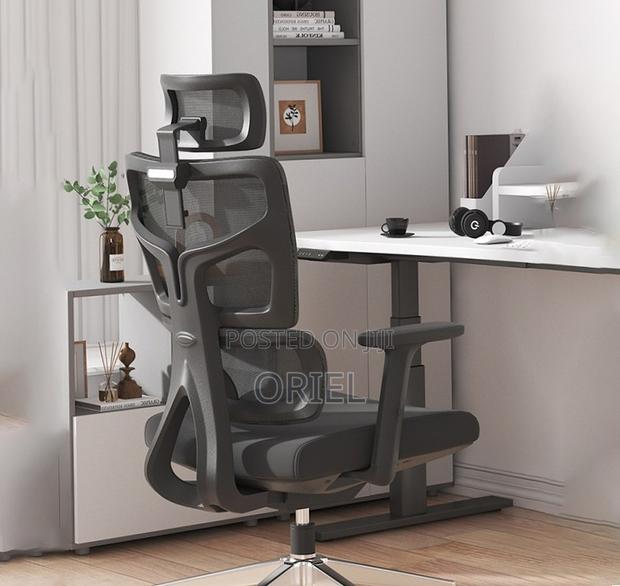 Orthopedic Executive Mesh Chair : Executive High Back Mesh Chair
