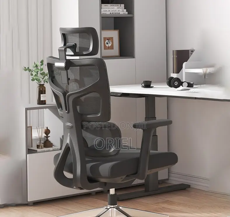 Orthopedic Executive Mesh Chair : Executive High Back Mesh Chair