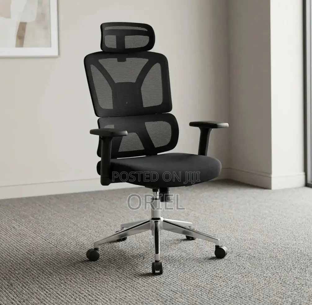 Orthopedic Executive Mesh Chair : Executive High Back Mesh Chair