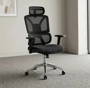 Orthopedic Executive Mesh Chair : Executive High Back Mesh Chair