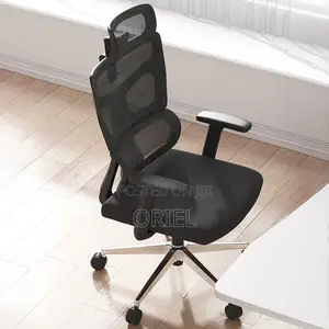 Orthopedic Executive Mesh Chair : Executive High Back Mesh Chair