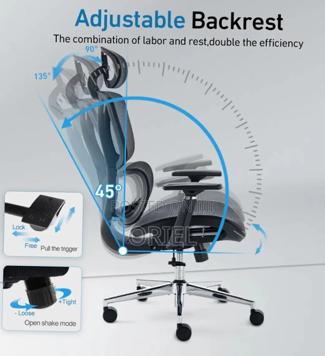 Orthopedic Executive Mesh Chair : Executive High Back Mesh Chair