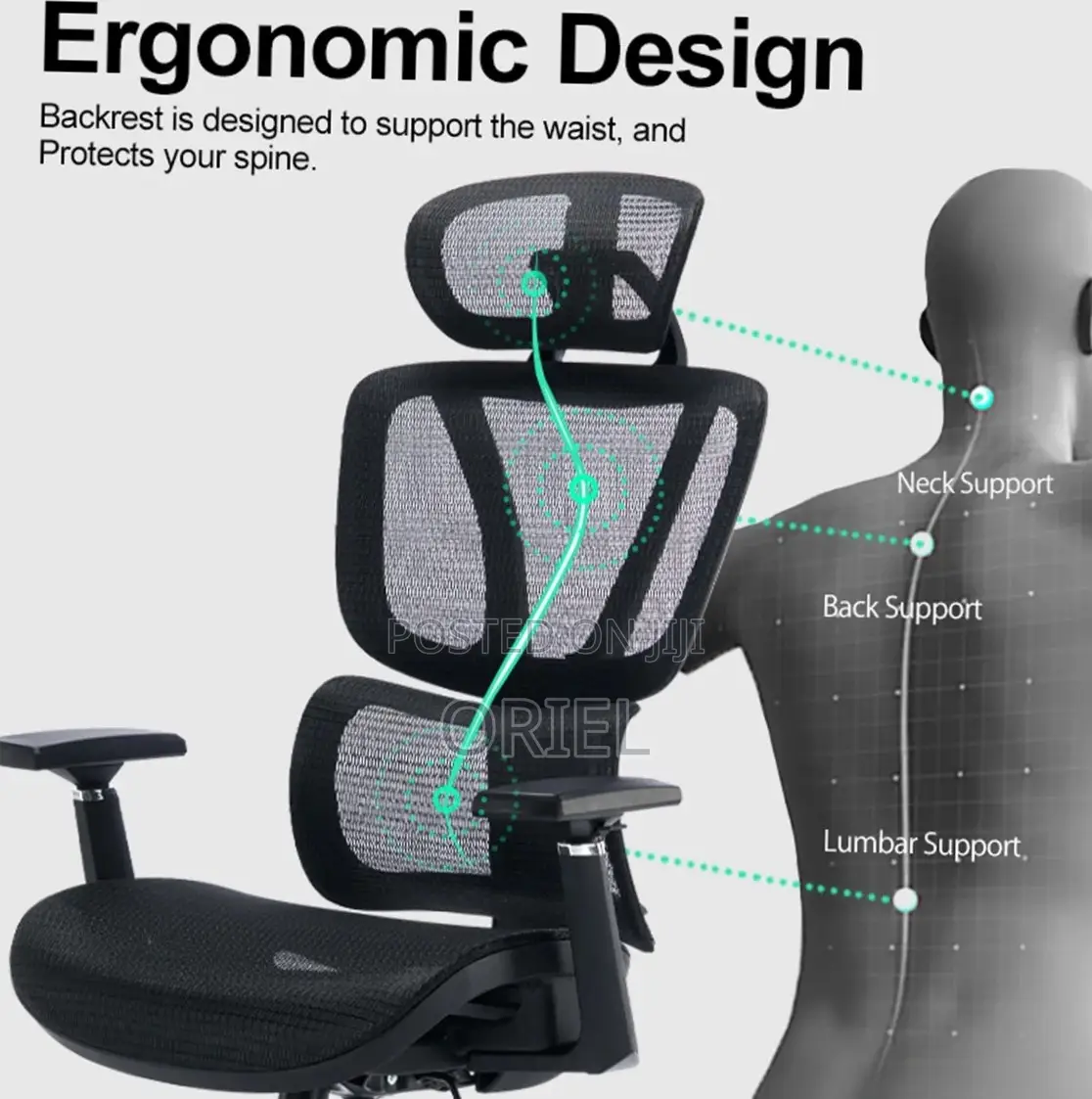 Orthopedic Executive Mesh Chair : Executive High Back Mesh Chair