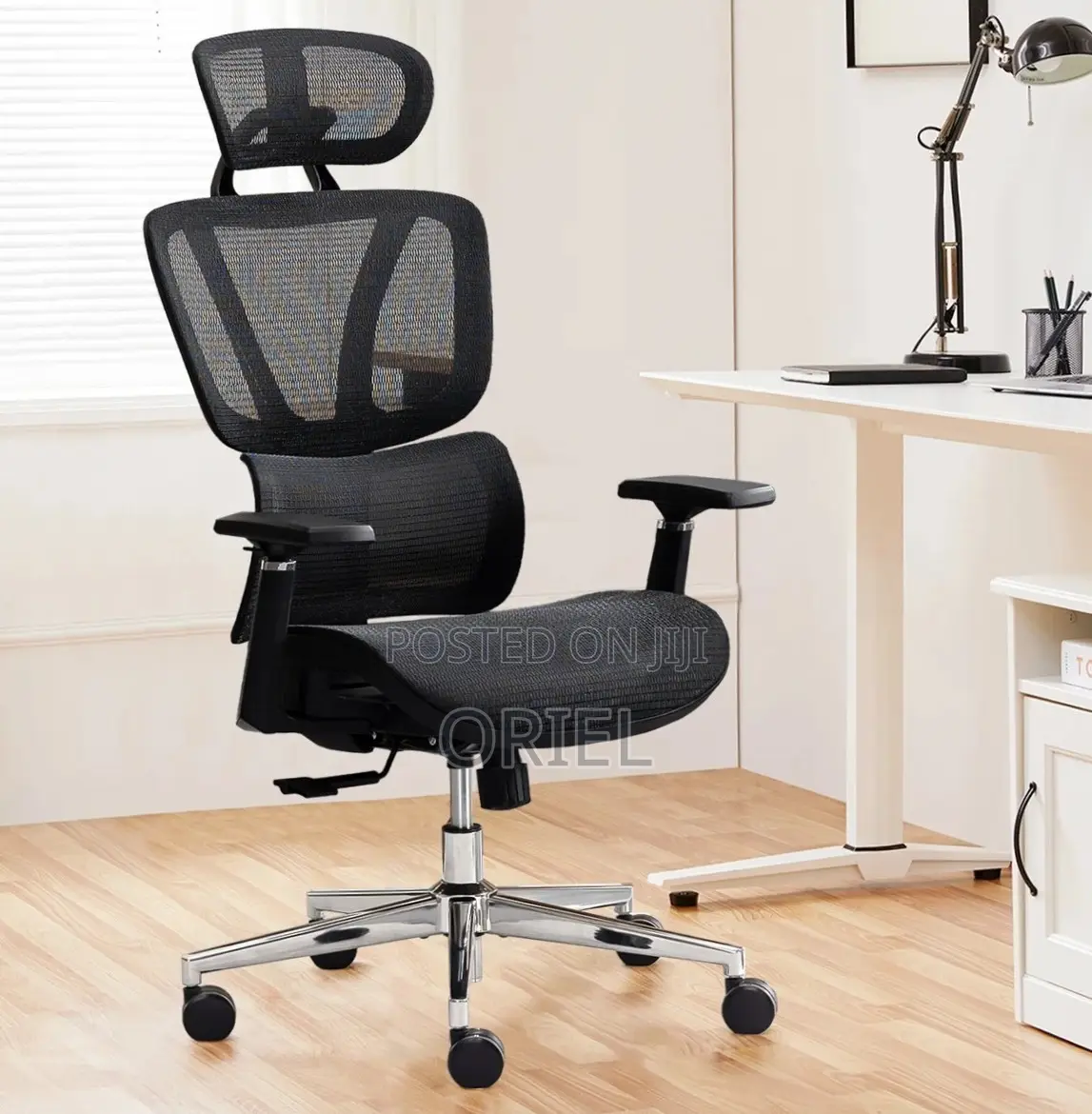 Orthopedic Executive Mesh Chair : Executive High Back Mesh Chair