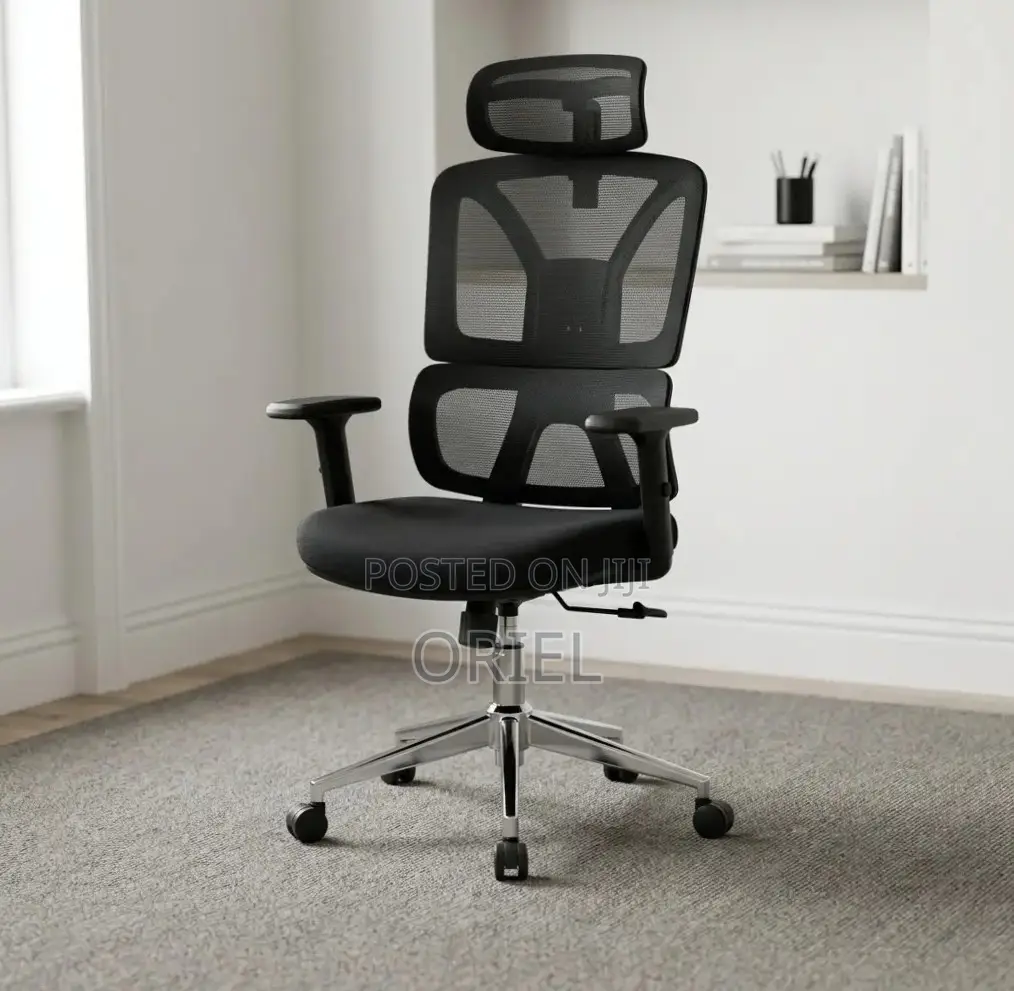 Orthopedic Executive Mesh Chair : Executive High Back Mesh Chair
