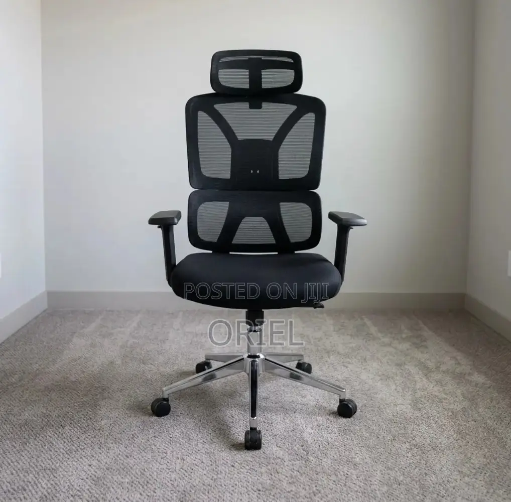 Orthopedic Executive Mesh Chair : Executive High Back Mesh Chair