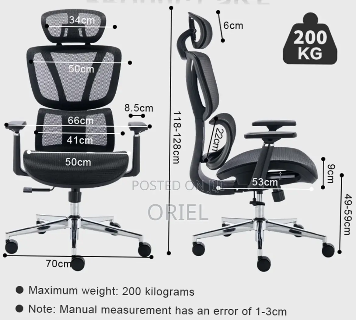 Orthopedic Executive Mesh Chair : Executive High Back Mesh Chair