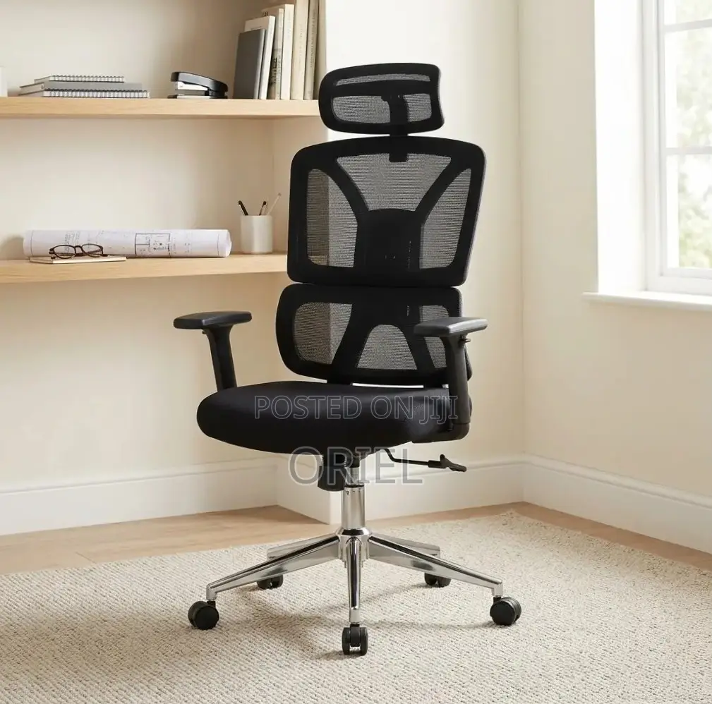 Orthopedic Executive Mesh Chair : Executive High Back Mesh Chair