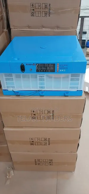 64 Eggs Incubator Machine AC/DC