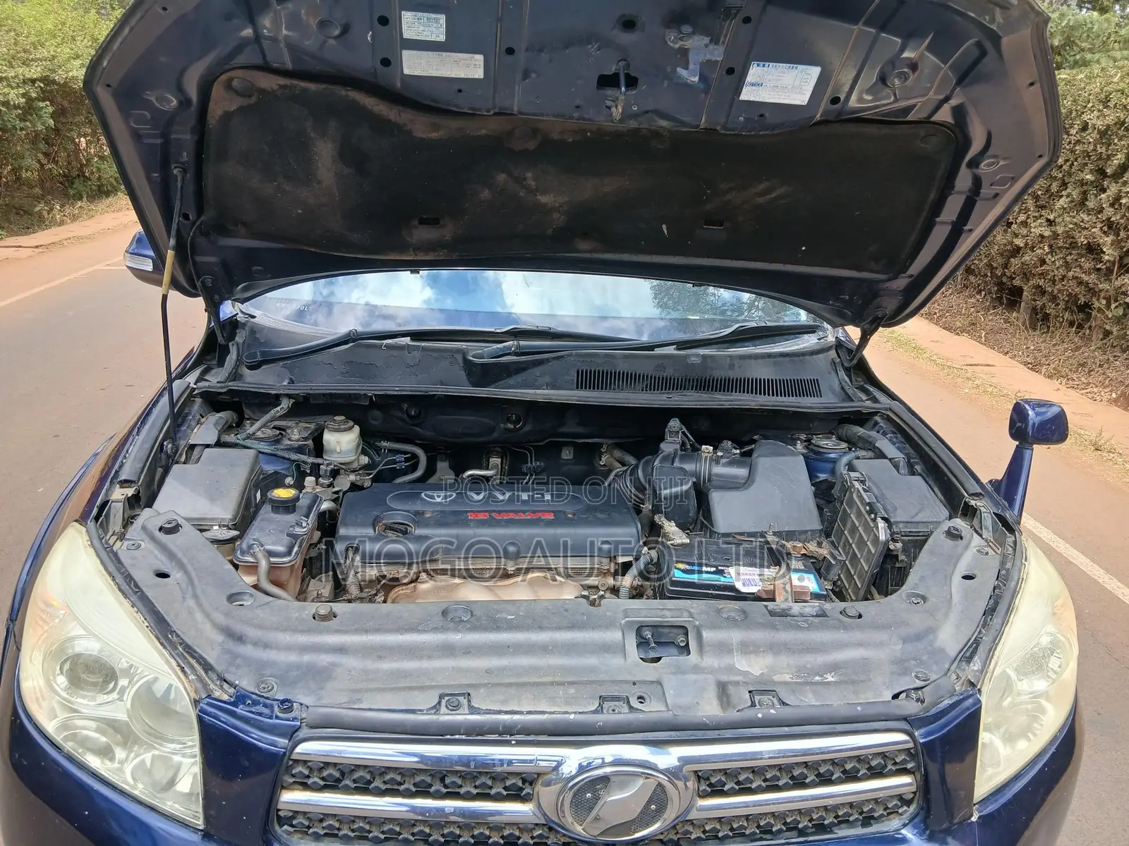 Toyota RAV4 2007 Blue
