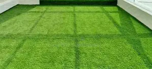 Natural-Looking Lawn Grass Carpet