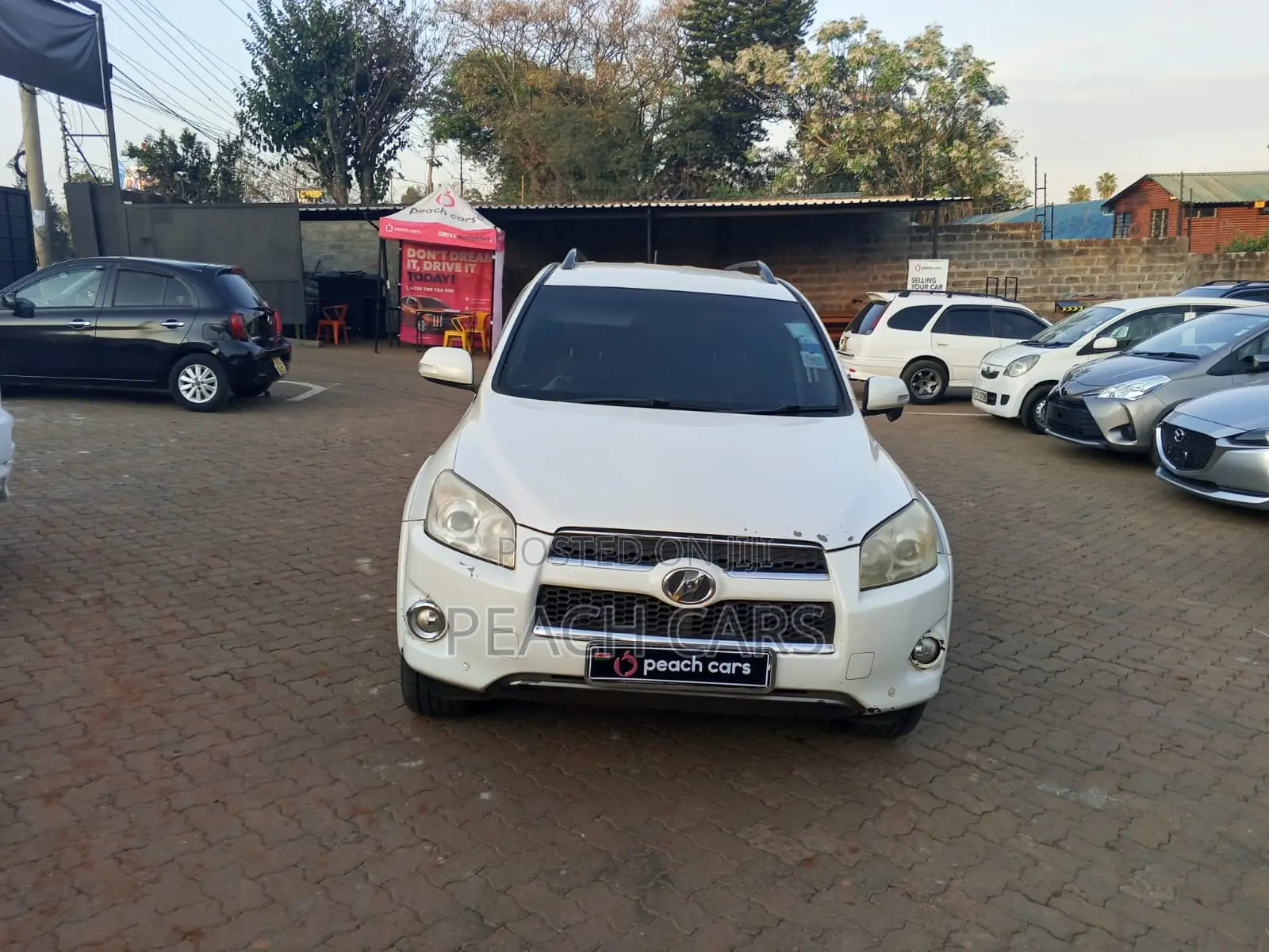 Toyota RAV4 2009 White