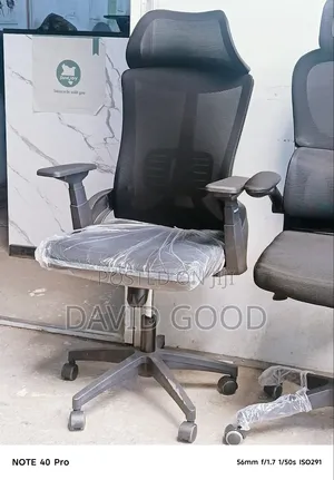 Orthopedic Office Chair
