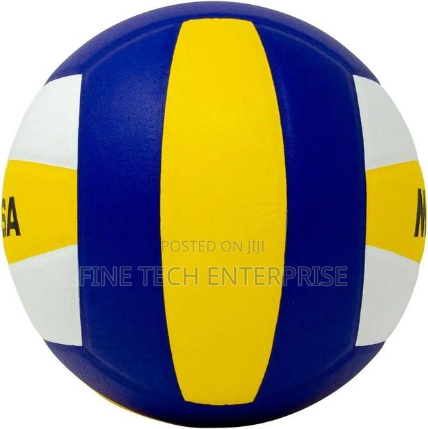 Mikasa Mv210 Volleyball