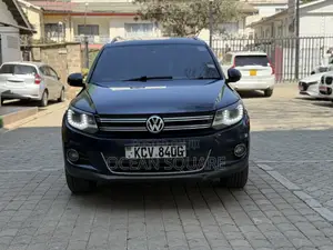 Volkswagen Tiguan 2014 Blue