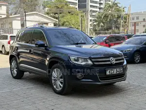 Volkswagen Tiguan 2014 Blue