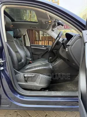 Volkswagen Tiguan 2014 Blue
