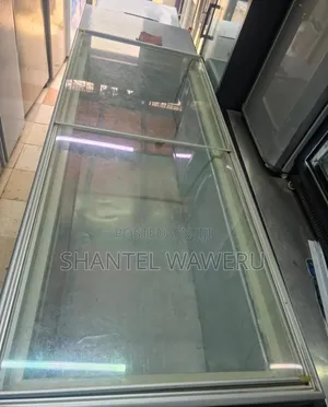 Commercial Display Chiller/ Deep Freezer