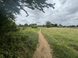 5 Acres Prime Land in Mandarini, Kilifi.