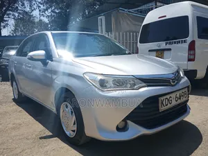 Toyota Axio 2016 Silver