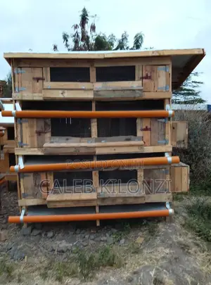 Three Partitioning Chicken Coop