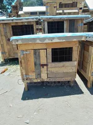 Dog House/Habitat