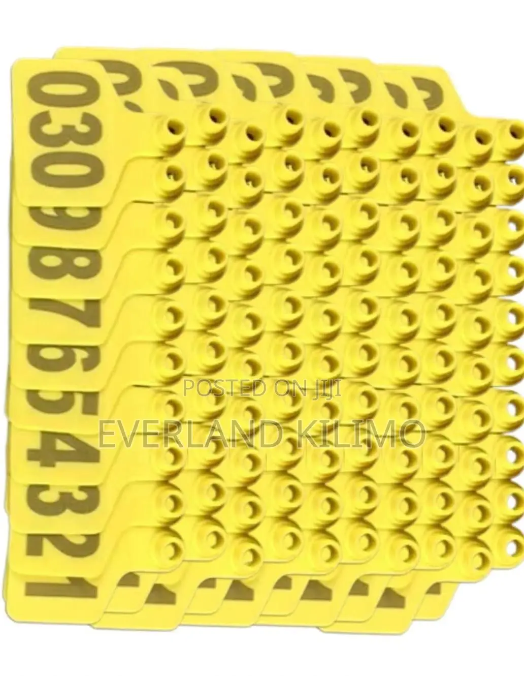 Professional Cattle Inventory Medium Ear Tags - Numbered
