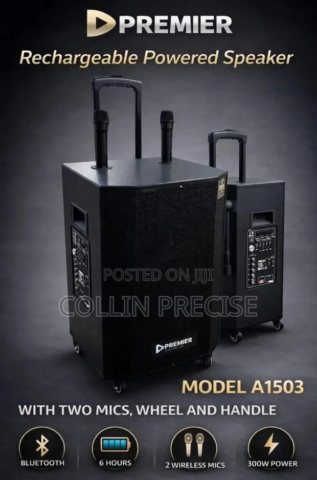 Rechargeable Powered Speaker With 2 Wireless Mics 300W - main view