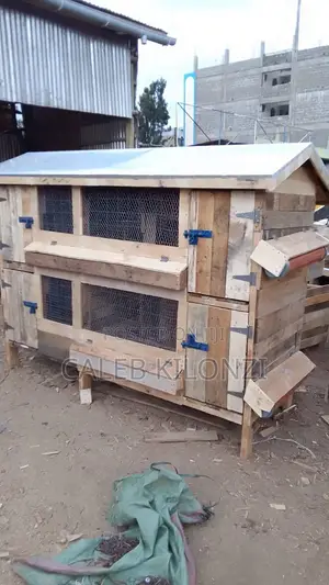 Chicken House/Cage/Coop