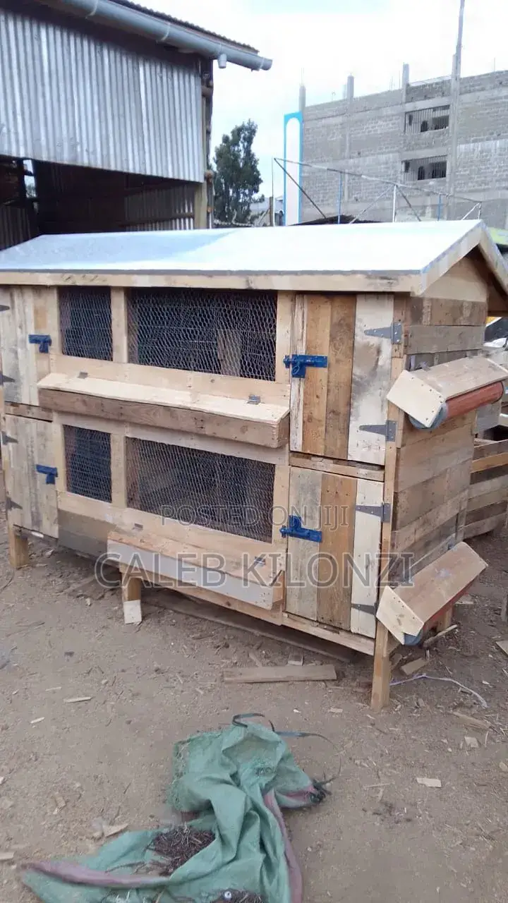 Chicken House/Cage/Coop