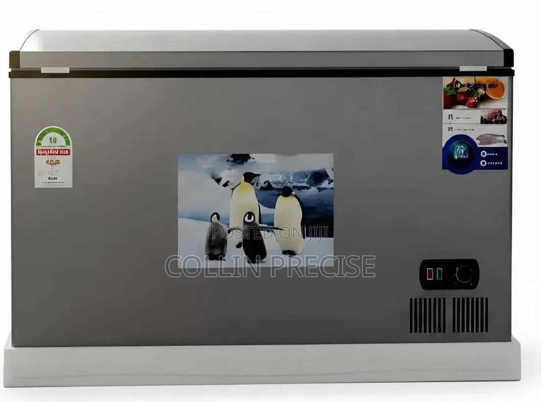 Premier 300L Chest Freezer