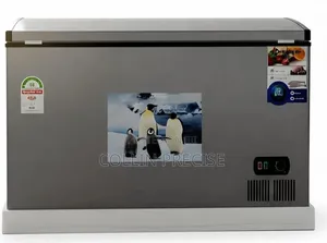 Premier 300L Chest Freezer