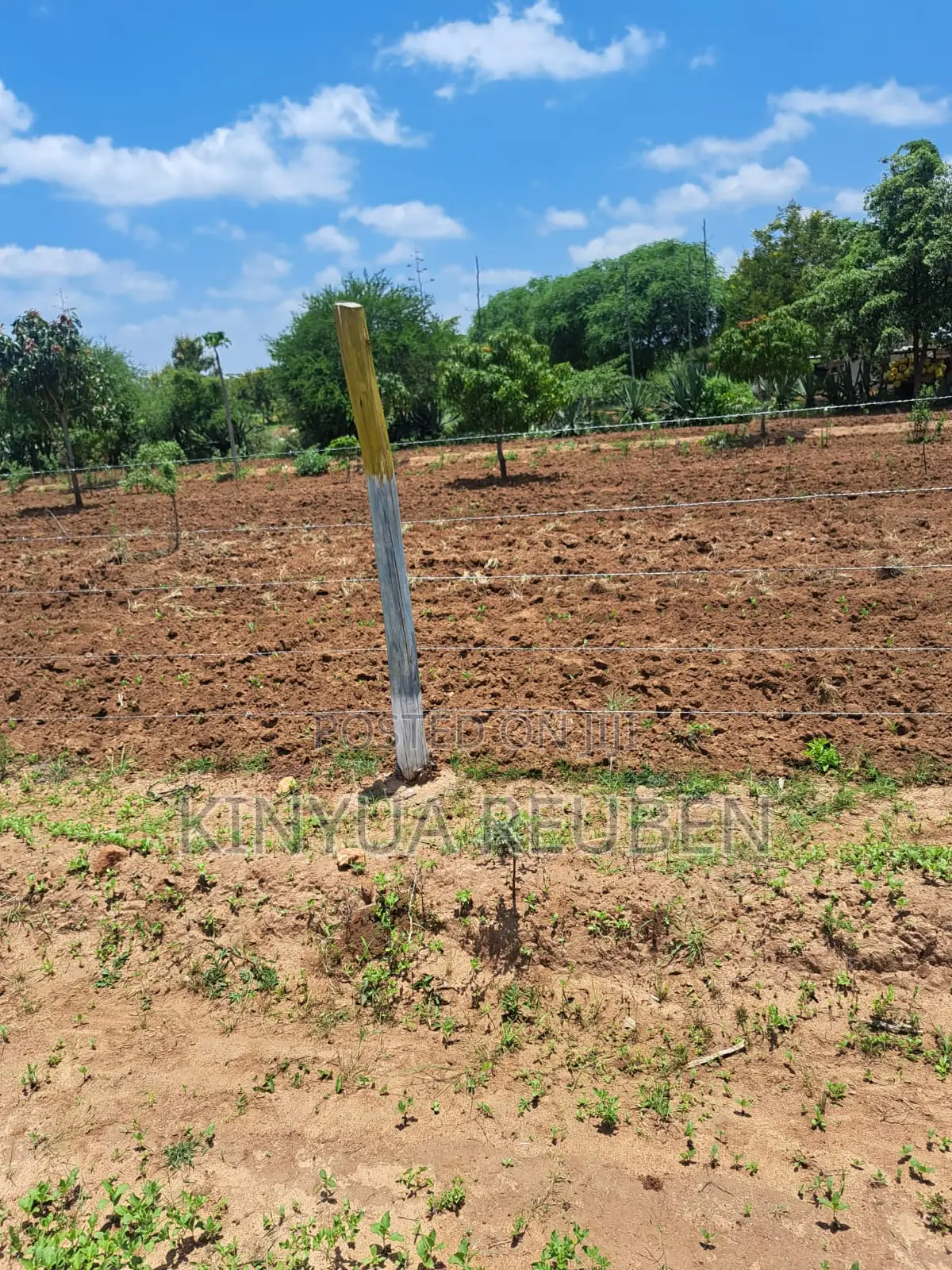 50×100 Plots for Sale in Matuu