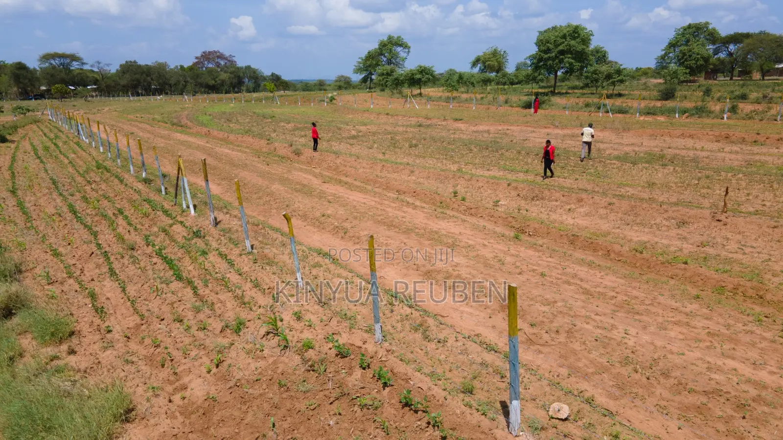 50×100 Plots for Sale in Matuu
